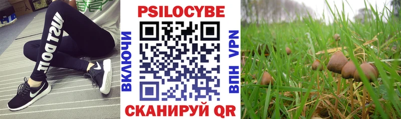 Псилоцибиновые грибы Psilocybe  сайты даркнета формула  Балашиха  kraken ссылки 